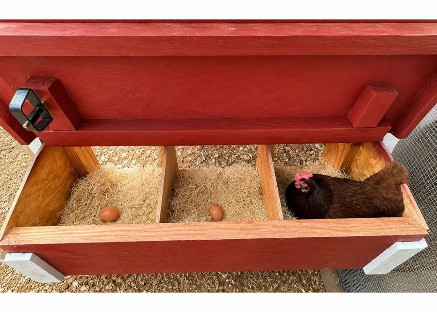 Medium Chicken Coop - Up to 10 Chickens