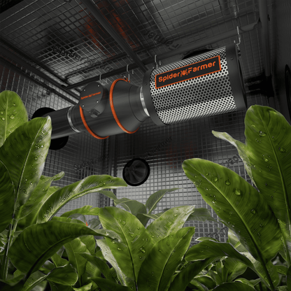 2026 Spider Farmer® 2’x4’ Complete Grow Tent Kit丨SF2000 200W Full Spectrum LED Grow Light丨GGS Controller, 4” Ventilation System with 6” Clip Fan