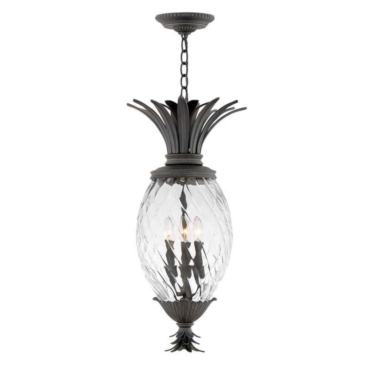Hinkley Museum Black Outdoor Plantation Hanging Light - 2122MB